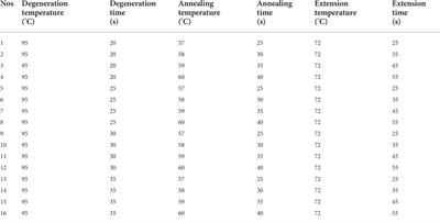 Development of a high specificity typing method for the detection of herpes simplex virus